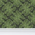 Wild Weeds & Wandering Clovers